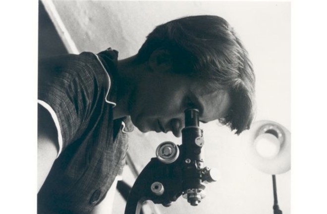 Rosalind Franklin